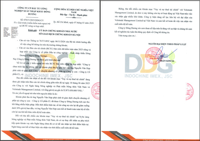 DDG giải trình về việc bị kiểm toán cho ý kiến ngoại trừ đối với BCTC bán niên 2025.