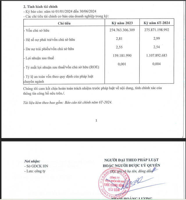 Một số chỉ tiêu tài chính của Phúc Khang Đông Sài Gòn tại ngảy 30/6/2024.