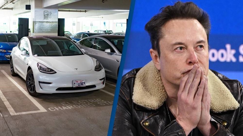 Cổ phiếu Tesla chia đôi giá sau khi mất 15% một phiên, tỷ phú Elon Musk chính là 'tội đồ'? - ảnh 3