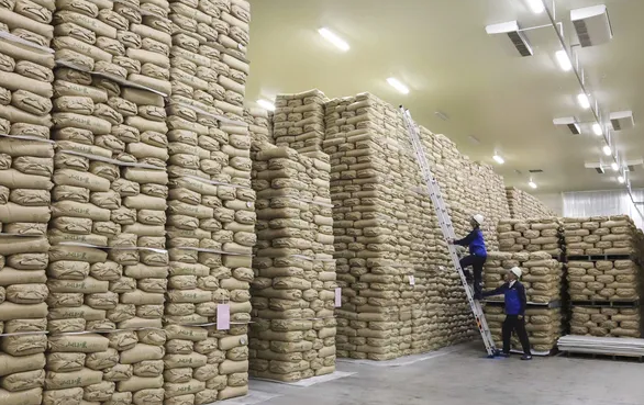 230.000 tấn gạo biến mất, chuyện gì đã xảy ra?  - ảnh 1