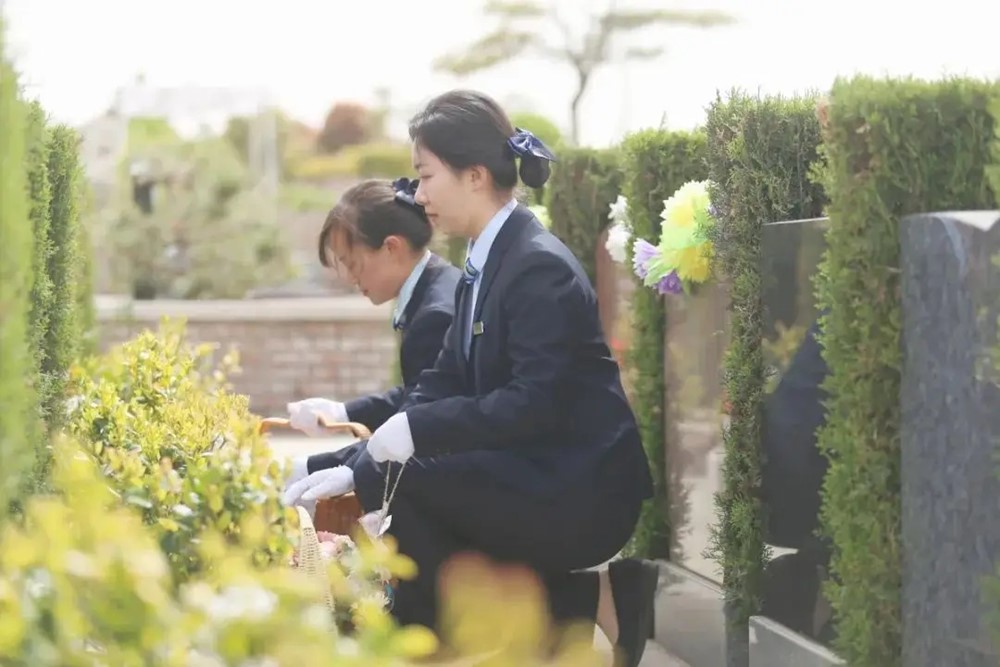 Gen Z bỏ làm văn phòng về quê làm nghề 'mỗi ngày lạy hàng trăm lần', thu nhập 14 triệu đồng/tháng - ảnh 5