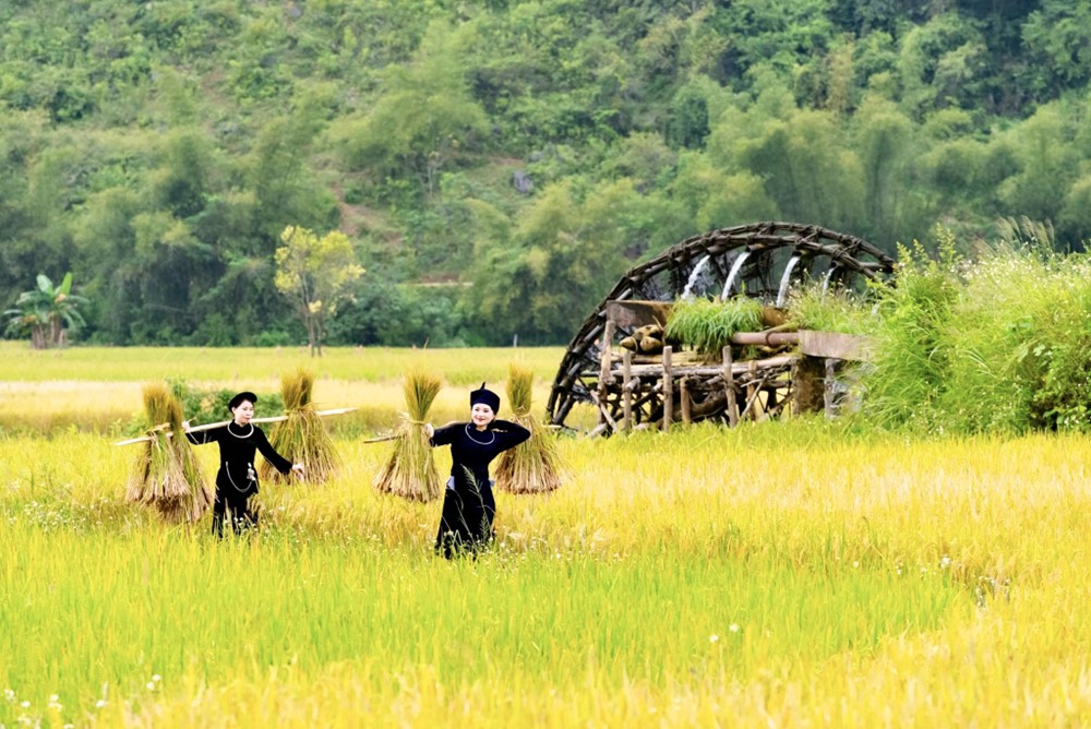 Tỉnh duy nhất từng là 'phên dậu' của tổ quốc, chưa đạt chuẩn diện tích nhưng không bị sáp nhập, lý do là gì? - ảnh 2