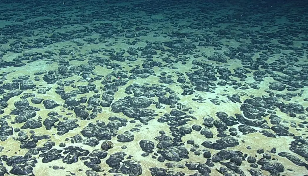 Phát hiện ‘kho báu’ tiềm năng dưới đáy biển sâu, Mỹ có thể đạt lợi thế không tưởng giữa thương chiến với Trung Quốc? - ảnh 1