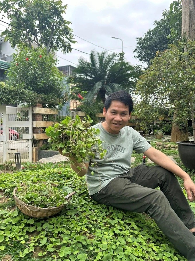 Nam ca sĩ là 'ông hoàng nhạc đỏ', sống trong biệt thự xa hoa nhưng vẫn cực mê loại cỏ mọc dại xưa là cây cứu đói, biểu tượng của một tỉnh - ảnh 2