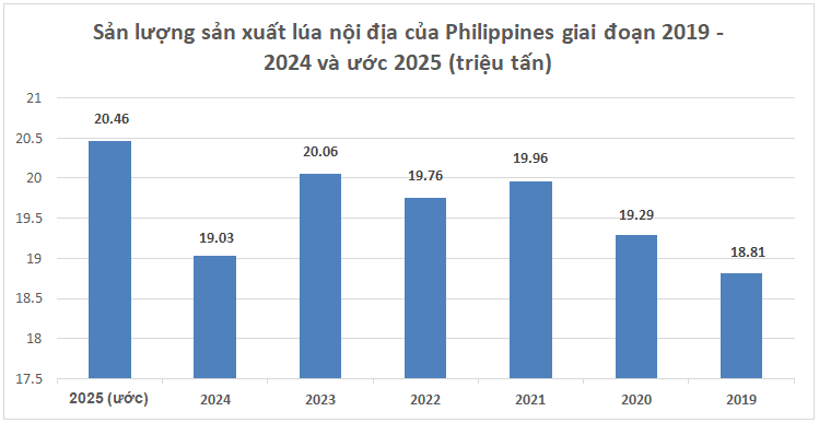 Nước Đông Nam Á hoãn mua 350.000 tấn gạo Việt Nam bất ngờ có động thái mới - ảnh 3