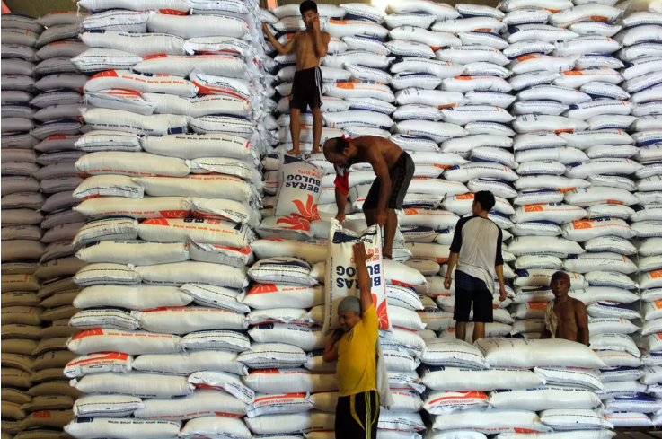 Nền kinh tế lớn nhất Đông Nam Á ngừng nhập khẩu gạo, chuyển sang tự cung tự cấp chỉ trong 5 tháng: Việt Nam sắp bị vượt mặt? - ảnh 1