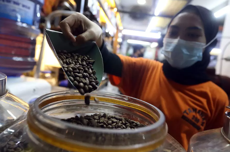 Nền kinh tế số 1 Đông Nam Á tham vọng đứng thứ 2 thế giới về cà phê, Việt Nam có bị vượt mặt? - ảnh 1