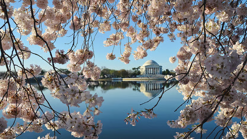 Trung Quốc đã may mắn có được thỏa thuận với ông Trump, các nước còn lại thì sao? - ảnh 1