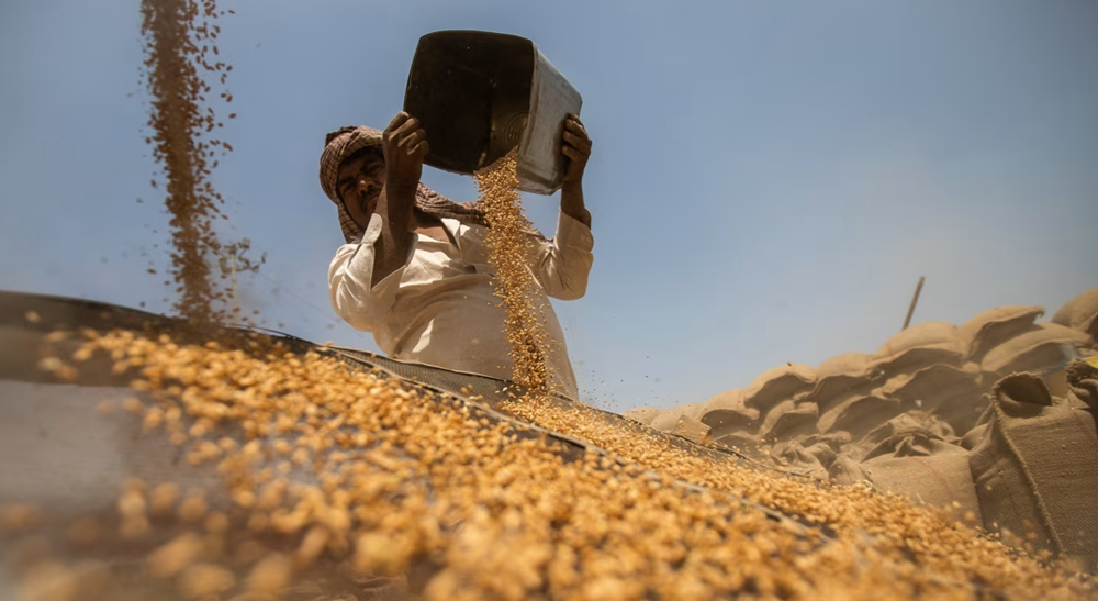 Nền kinh tế lớn thứ 4 thế giới bất ngờ sử dụng 'chiêu kép' trong lúc đàm phán thuế quan nghẹt thở - ảnh 1