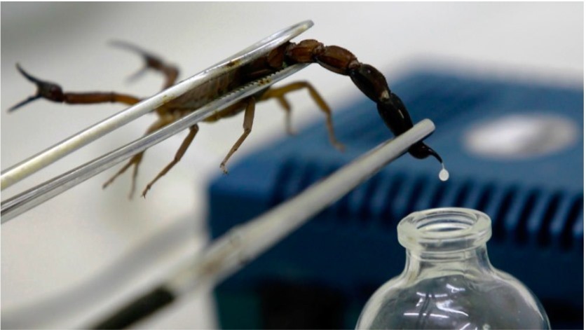 Việt Nam bắt tay Cuba điều chế thuốc hỗ trợ điều trị ung thư - ảnh 2