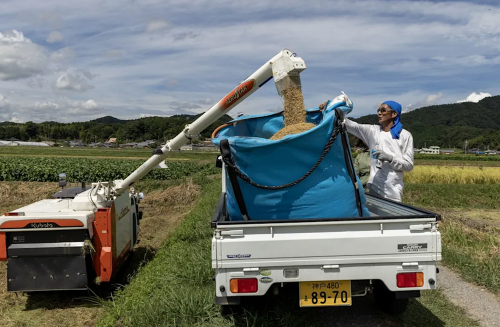 Mỹ dọa đánh thuế mới với Nhật Bản, tuyên bố hoàn tất các thỏa thuận thương mại với hàng loạt quốc gia sau ngày 4/7 - ảnh 1