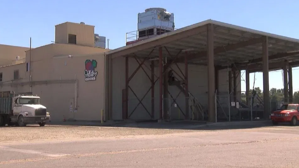 Đột kích nhà máy nước ép trái cây, cảnh sát phát hiện bồn chứa đầy côn trùng, xác động vật: Doanh thu lên tới 19 tỷ đồng - ảnh 1