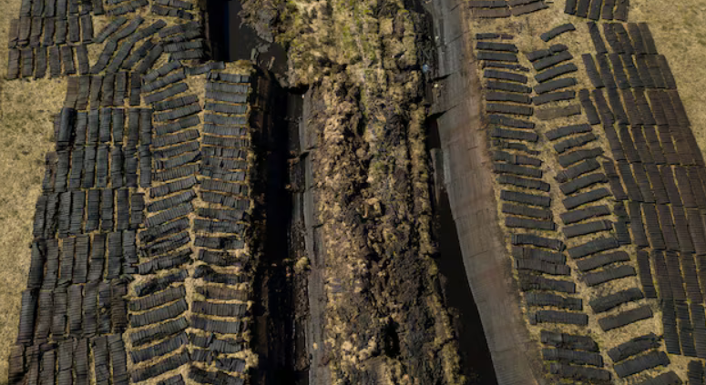 Phần lãnh thổ quan trọng biến mất với tốc độ không tưởng, thế giới có nguy cơ thiệt hại 39.000 tỷ USD - ảnh 1