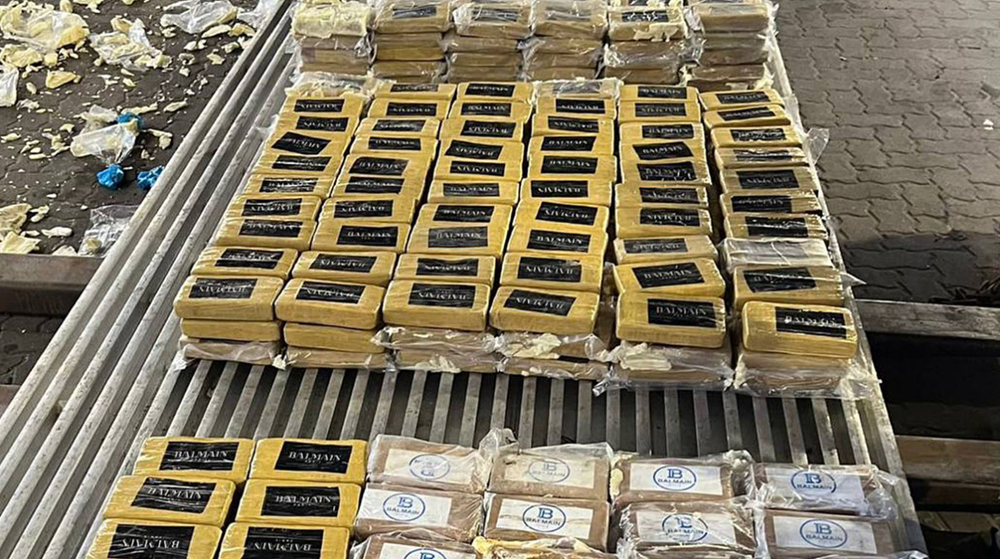 Phát hiện hơn 800kg cocaine trị giá 4.000 tỷ đồng giấu trong lô chuối nhập khẩu, khẩn cấp thu giữ toàn bộ container - ảnh 1