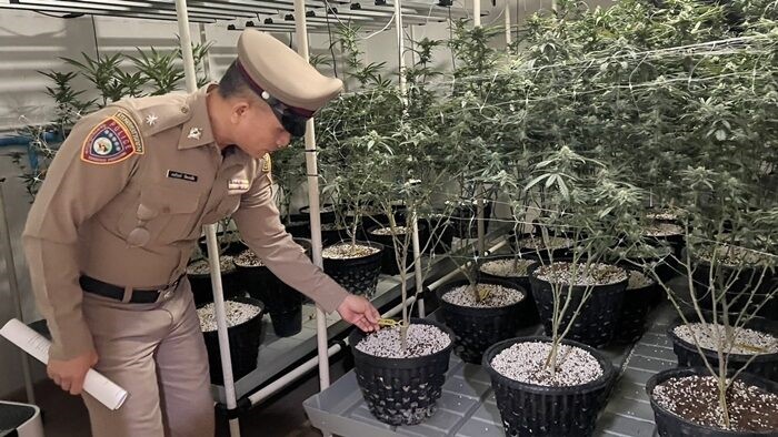 Đột kích căn nhà 3 tầng, phát hiện số lượng lớn thạch, bánh quy cho trẻ em pha cần sa khiến dư luận phẫn nộ - ảnh 7