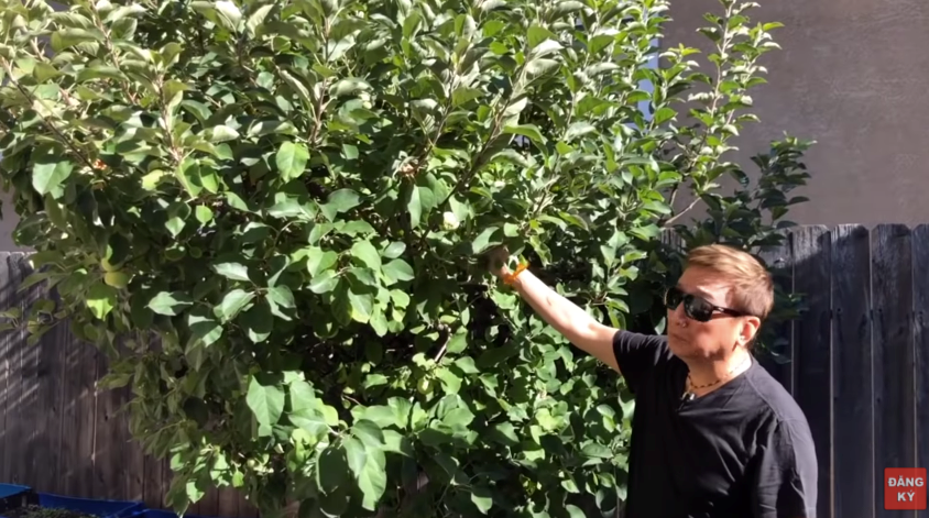 Nam ca sĩ chuyên hát 'nhạc nghèo', 13 năm trước đã nhận cát-xê 140 triệu đồng/show, U70 hạnh phúc bên vợ trẻ kém 30 tuổi - ảnh 4