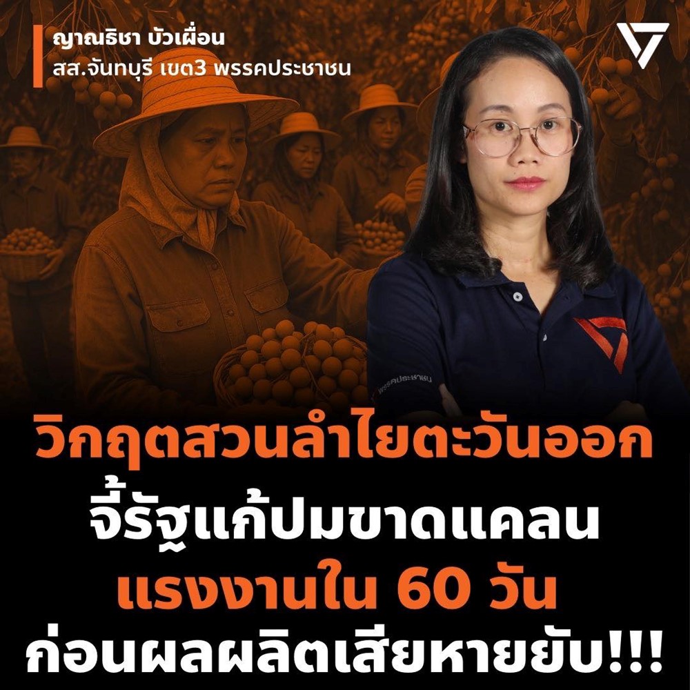 Nền kinh tế lớn thứ 2 Đông Nam Á lâm vào ‘cuộc khủng hoảng ngọt ngào’: Tuyển gấp 30.000 lao động được trả lương cao, miễn phí chỗ ở chỉ để... hái nhãn - ảnh 1