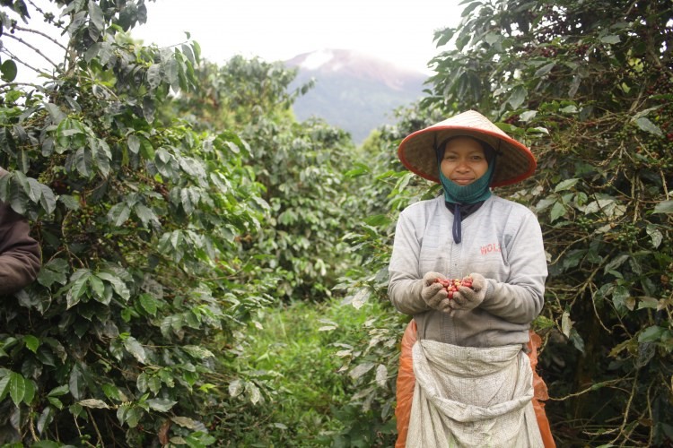 Chịu thuế 19%, nền kinh tế lớn nhất Đông Nam Á tự tin Mỹ sẽ phải trả giá - ảnh 2