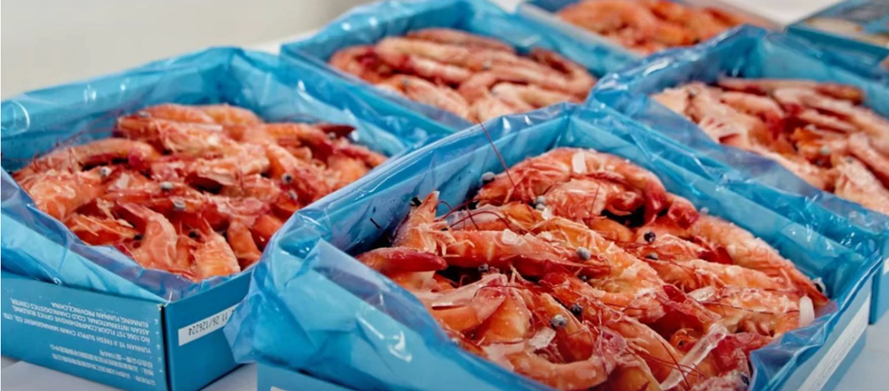 Đòn thuế của ông Trump dễ khiến Thái Lan mất trắng gần 3.895 tỷ đồng, Việt Nam ra sao? - ảnh 1