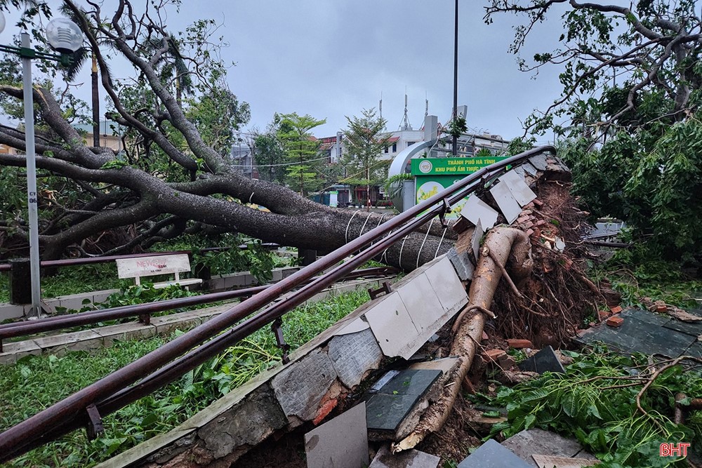 Hà Tĩnh sau bão số 5: Hơn 7.000 ngôi nhà bị hư hại, 10 người thương vong - ảnh 5