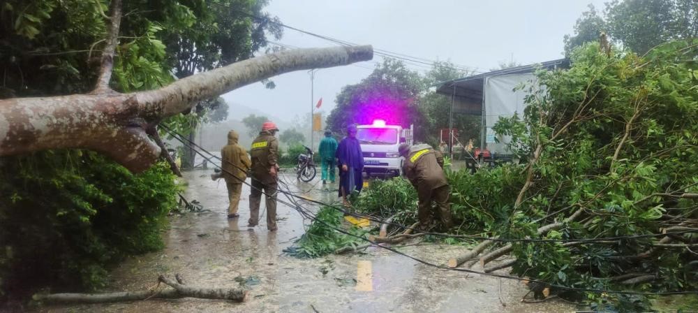 Hà Tĩnh sau bão số 5: Hơn 7.000 ngôi nhà bị hư hại, 10 người thương vong - ảnh 11