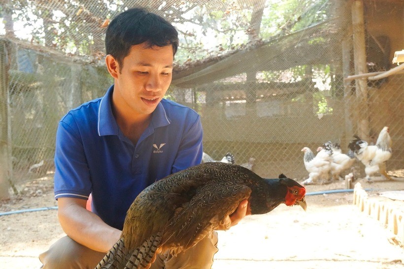 Anh nông dân Gia Lai bỏ phố về quê nuôi loài chim quý, bỏ túi 1 tỷ đồng/năm, được Chủ tịch nước tặng Huân chương Lao động hạng Ba - ảnh 1
