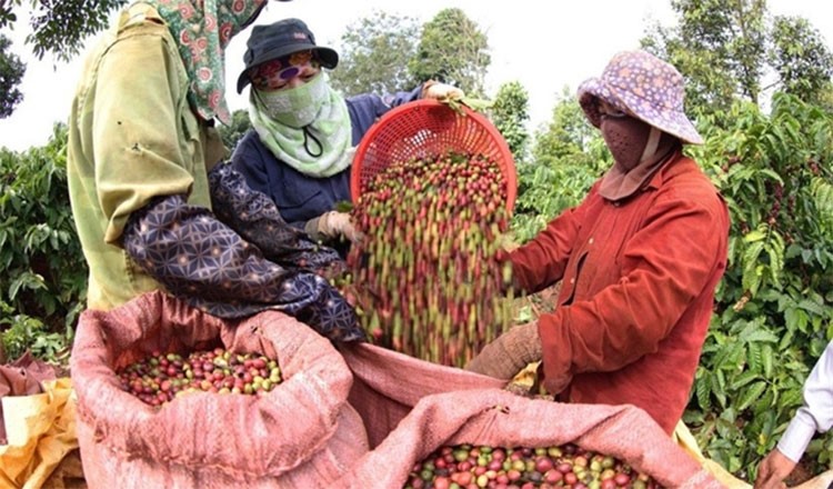 Mặt hàng tỷ đô của Việt Nam ồ ạt vào Campuchia, khối lượng xuất khẩu tăng hơn 400% - ảnh 1