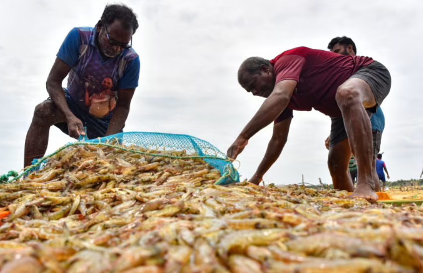 Châu Á ‘lãnh đòn’ chưa từng có vì thuế quan: Hàng loạt đơn hàng bị cắt giảm, sinh kế hàng triệu người lao đao - ảnh 4