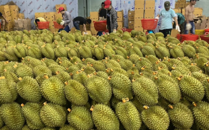 Quốc gia Đông Nam Á khoe lợi ích 45 tỷ USD từ thương mại, mặt hàng xuất khẩu top đầu cạnh tranh gay gắt với Việt Nam - ảnh 2