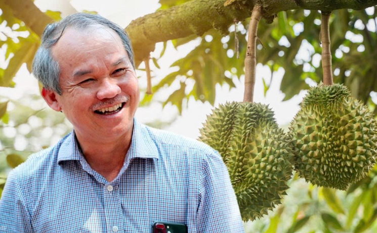 Sầu riêng Việt trúng lớn khi xuất khẩu, 70.000 gốc sầu của HAGL vào vụ thu hoạch - ảnh 1