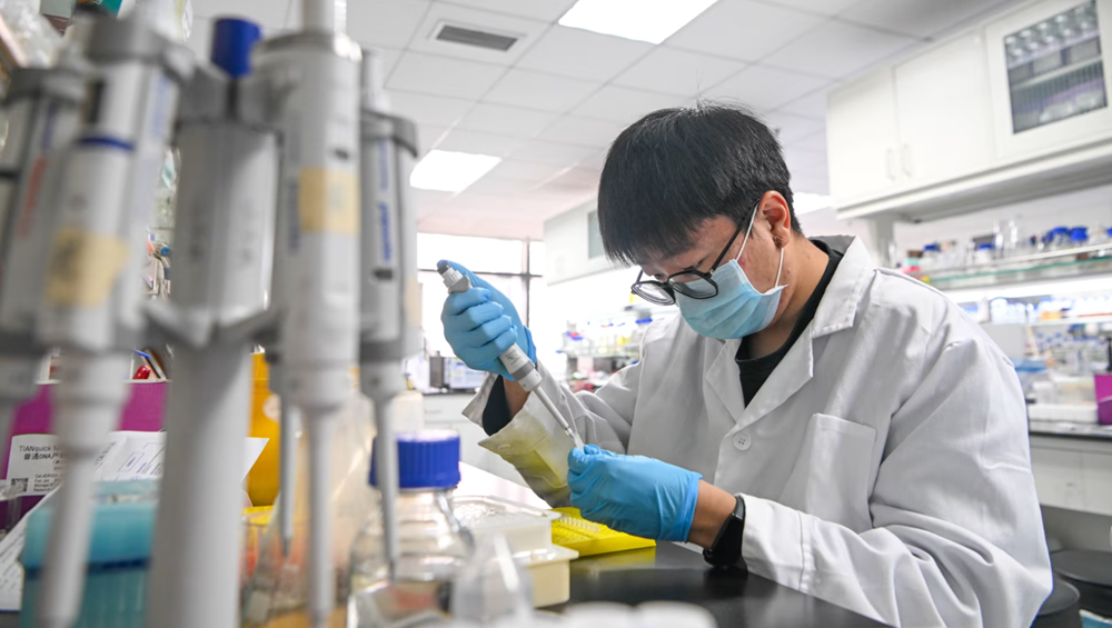 Gần 90 nhà khoa học nổi tiếng rời Mỹ chọn về nước cống hiến, chuyện gì đã xảy ra?  - ảnh 2