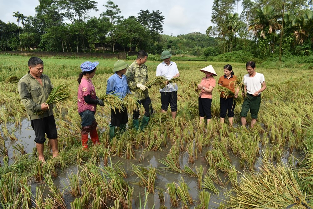 Đề xuất quan trọng ảnh hưởng trực tiếp đến gần 35.000 cán bộ khuyến nông cả nước - ảnh 1