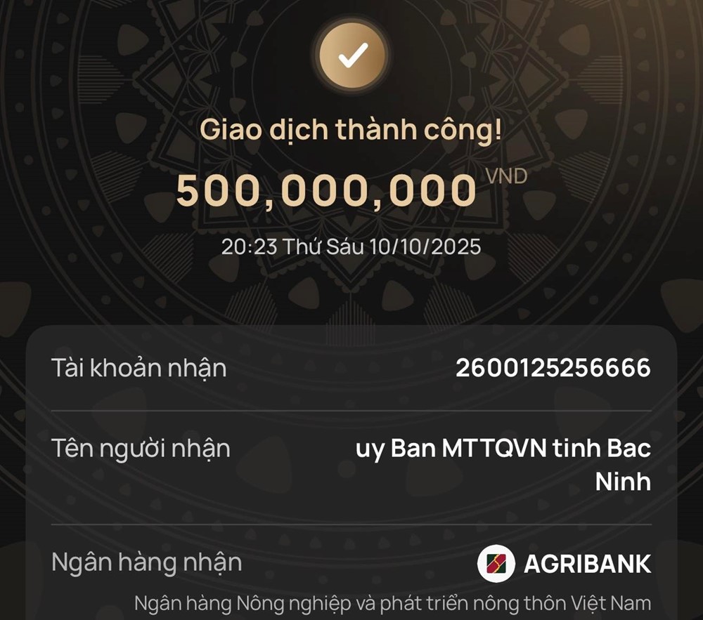 Nữ ca sĩ nổi tiếng chuyển nóng 500.000.000 đồng ủng hộ tỉnh Bắc Ninh - ảnh 1