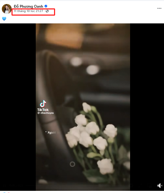 Tình hình của Phương Oanh sau khi Shark Bình bị bắt - ảnh 4