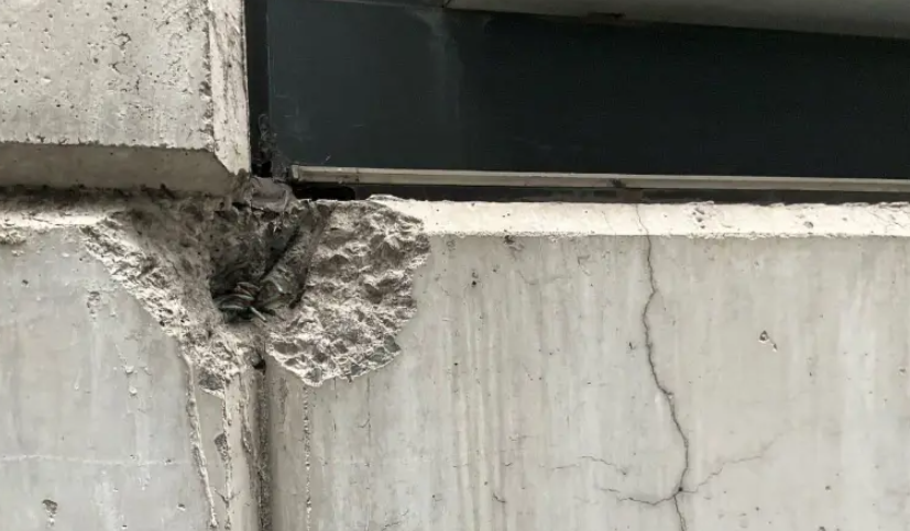 Tòa nhà chọc trời hơn 400m giữa trung tâm thành phố xuất hiện hàng loạt vết nứt, cư dân ngán ngẩm dù bỏ hàng trăm tỷ mua nhà - ảnh 2