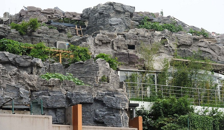 Chiếm dụng tầng thượng chung cư để xây biệt thự 1.000m2 giữa lòng thành phố, đại gia bị chính quyền yêu cầu tháo dỡ khẩn cấp - ảnh 1