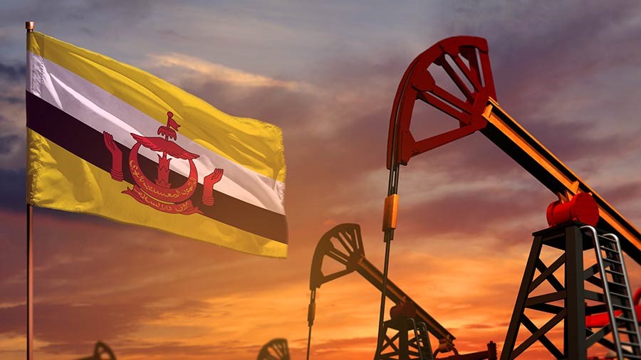 Quốc gia duy nhất Đông Nam Á không thu thuế thu nhập cá nhân, đi khám chỉ mất tượng trưng 20.000 đồng - ảnh 1