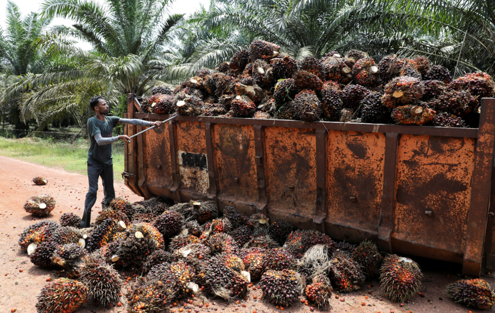 Thứ 'vàng lỏng' khiến 8 tỷ người lệ thuộc: Láng giềng có nhiều 'không đếm xuể', đồng ý bán cho 160 quốc gia  - ảnh 1