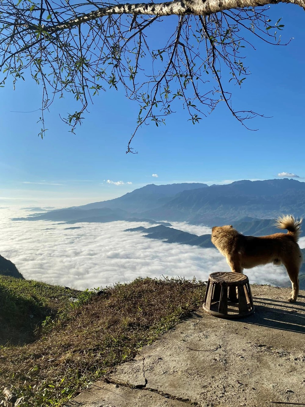 Ngôi làng du lịch được ví như 'nàng thơ' của Tây Bắc, chỉ cách Sa Pa khoảng 50km, bốn mùa đều đẹp như một bức tranh - ảnh 6