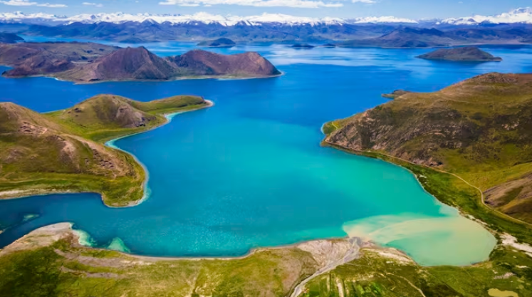 Phát hiện 800.000 tấn cá dưới lòng hồ nhưng người dân không ai dám ăn - ảnh 1