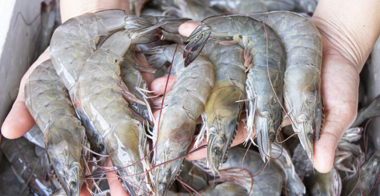 Hàng loạt mặt hàng xuất khẩu từ nền kinh tế lớn nhất Đông Nam Á nhiễm phóng xạ: Mỹ trả hàng, các nước cần chú ý - ảnh 2