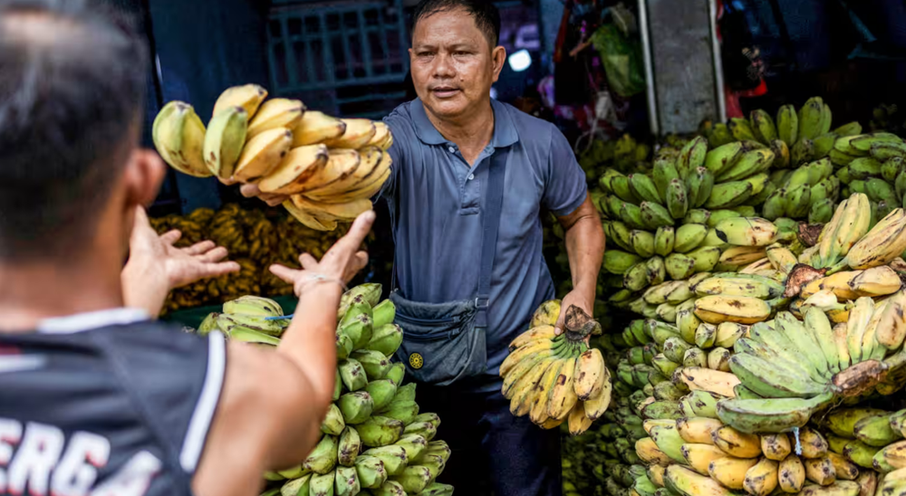 Động thái bất ngờ từ ông Trump mang về ‘chiến thắng’ tỷ đô cho nông dân Philippines - ảnh 1