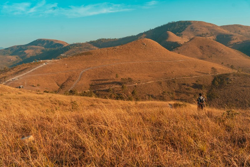 Cách Hà Nội chỉ 2 tiếng đi xe có một đồi cỏ cháy đẹp như phim Hàn Quốc, rất nguyên sơ, cắm trại đẹp đỉnh - ảnh 2