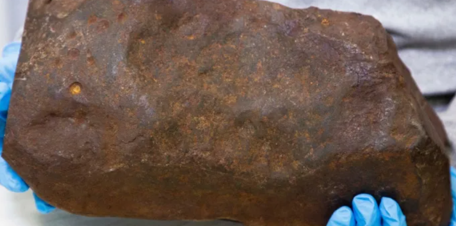 Người dân phát hiện tảng đá đỏ kỳ lạ ở công viên, chuyên gia ngỡ ngàng vì 'quý hơn vàng' - ảnh 1