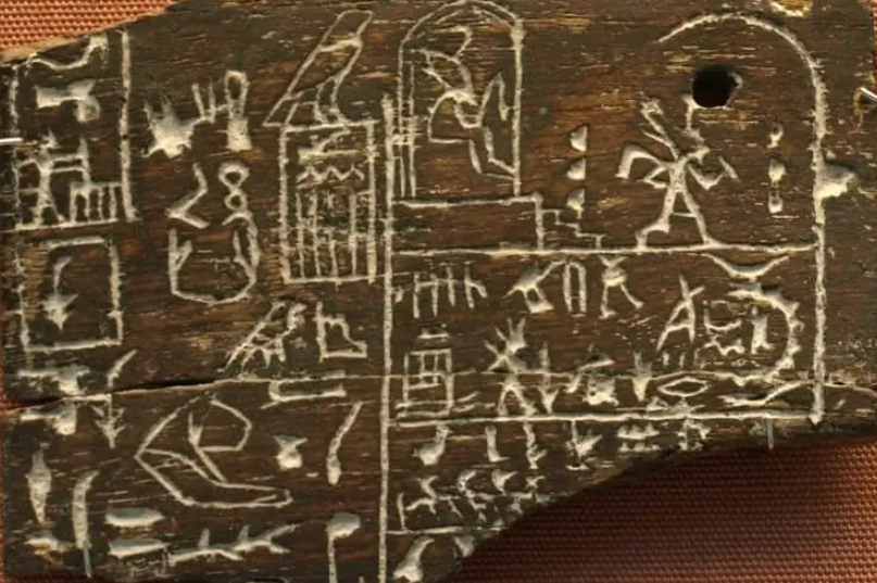 Phát hiện loại gỗ có giá hơn 360 triệu đồng/m3 khiến người dân ngỡ ngàng - ảnh 2