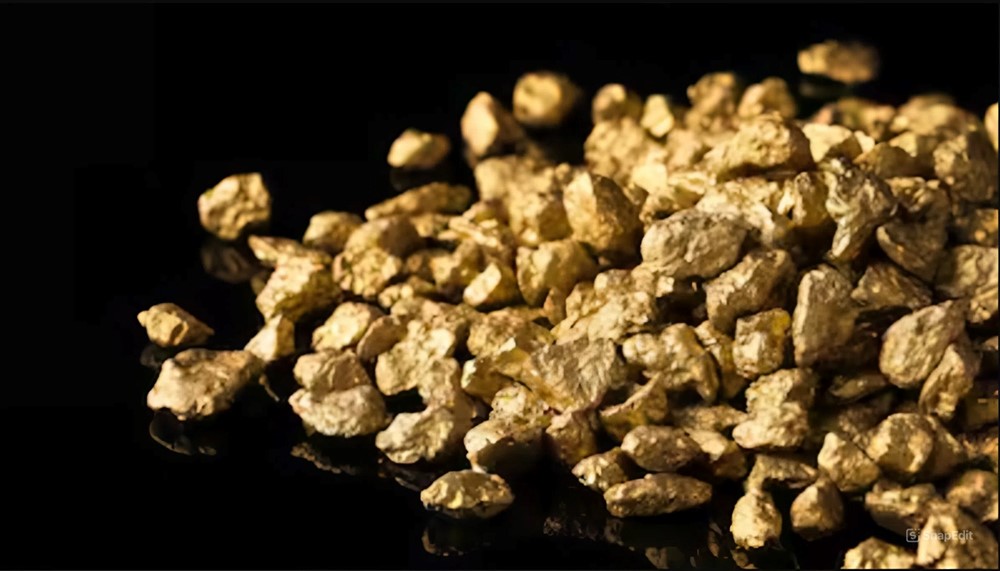 Phong tỏa mỏ vàng 'lớn nhất từ trước đến nay', nằm sâu trong một khu rừng nguyên sinh - ảnh 1