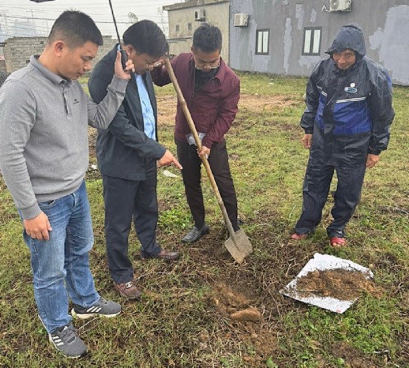 Đã tìm ra nguyên nhân giun chết la liệt trên đất ở Quảng Trị - ảnh 2