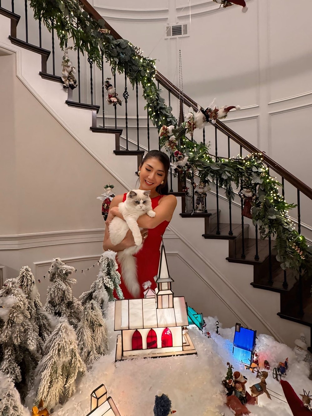 Siêu mẫu nổi tiếng Việt Nam bất ngờ đóng cửa công ty tại Mỹ - ảnh 1