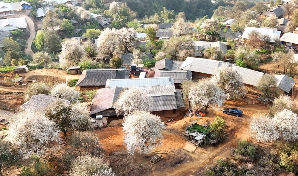 Ngôi làng được ví như miền quê cổ tích, cách Hà Nội 300km, nơi có 100 ngôi nhà lợp bằng gỗ độc đáo nhất Việt Nam - ảnh 4