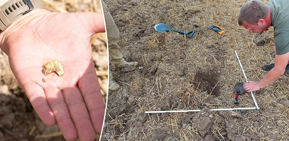 Phong tỏa khẩn cấp khu đất nông nghiệp bí ẩn, phát hiện 'kho báu' 2.500 năm tuổi - ảnh 2